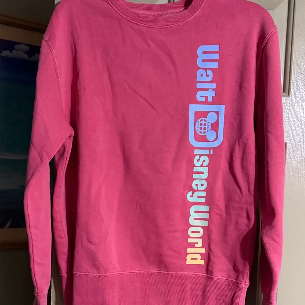 Walt Disney World Pink Cozy Sweatshirt - Picture 1 of 5